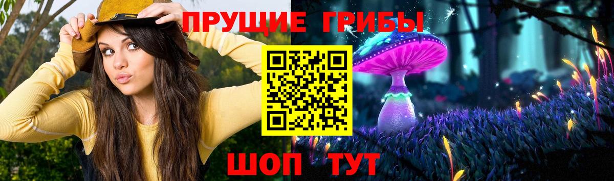 купить закладку  Галлюциногенные грибы Cubensis  Елабуга  Вход с VPN  Псилоцибиновые грибы Psilocybine cubensis 